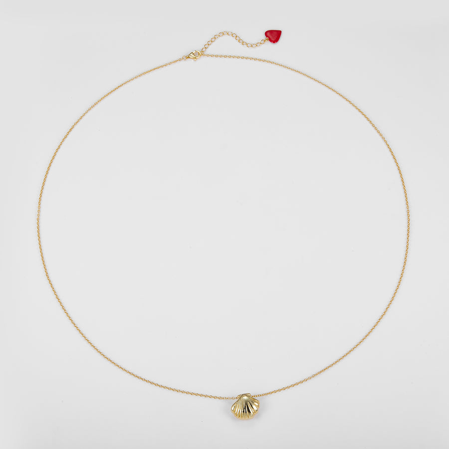 Gold necklace with a shell pendant on a light gray background